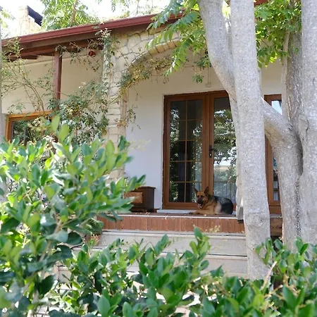 Atlantis Semesterbostad