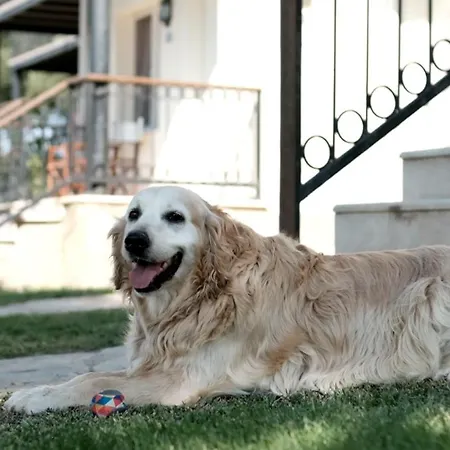 Casa de Férias Atlantis Seferihisar